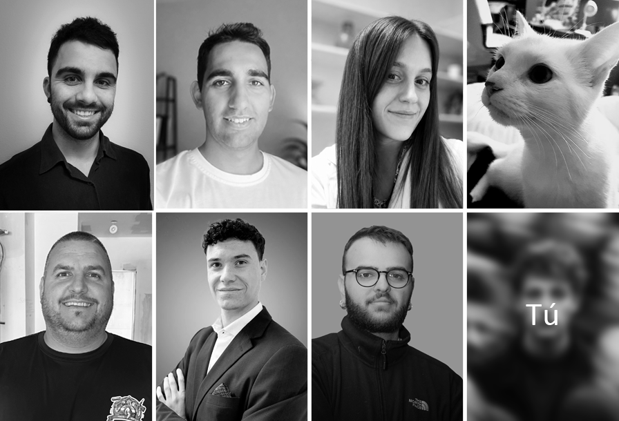 Sigma Studio team