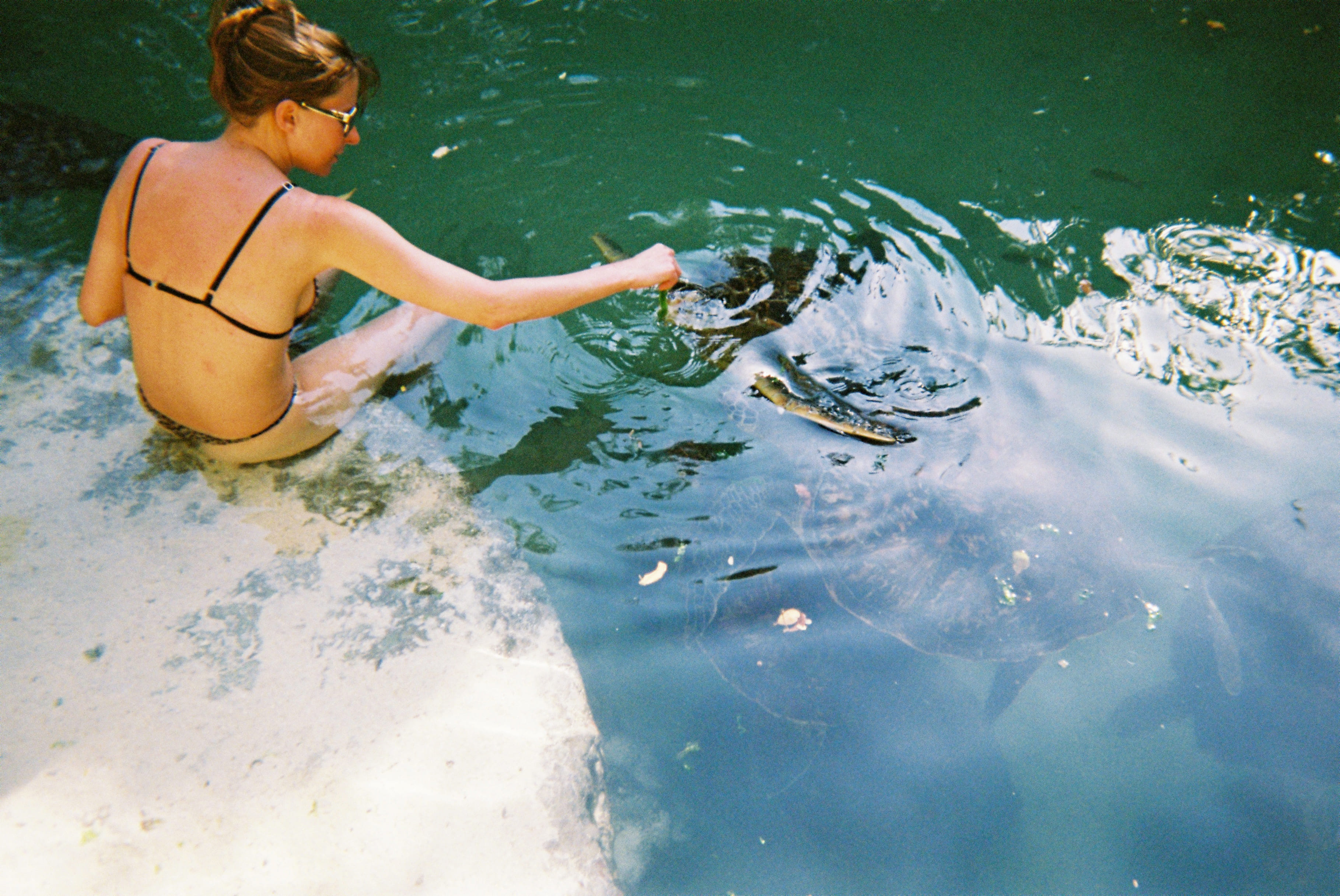 Woman in black bikini sitting by water feeding a large sea turtle near the shore.