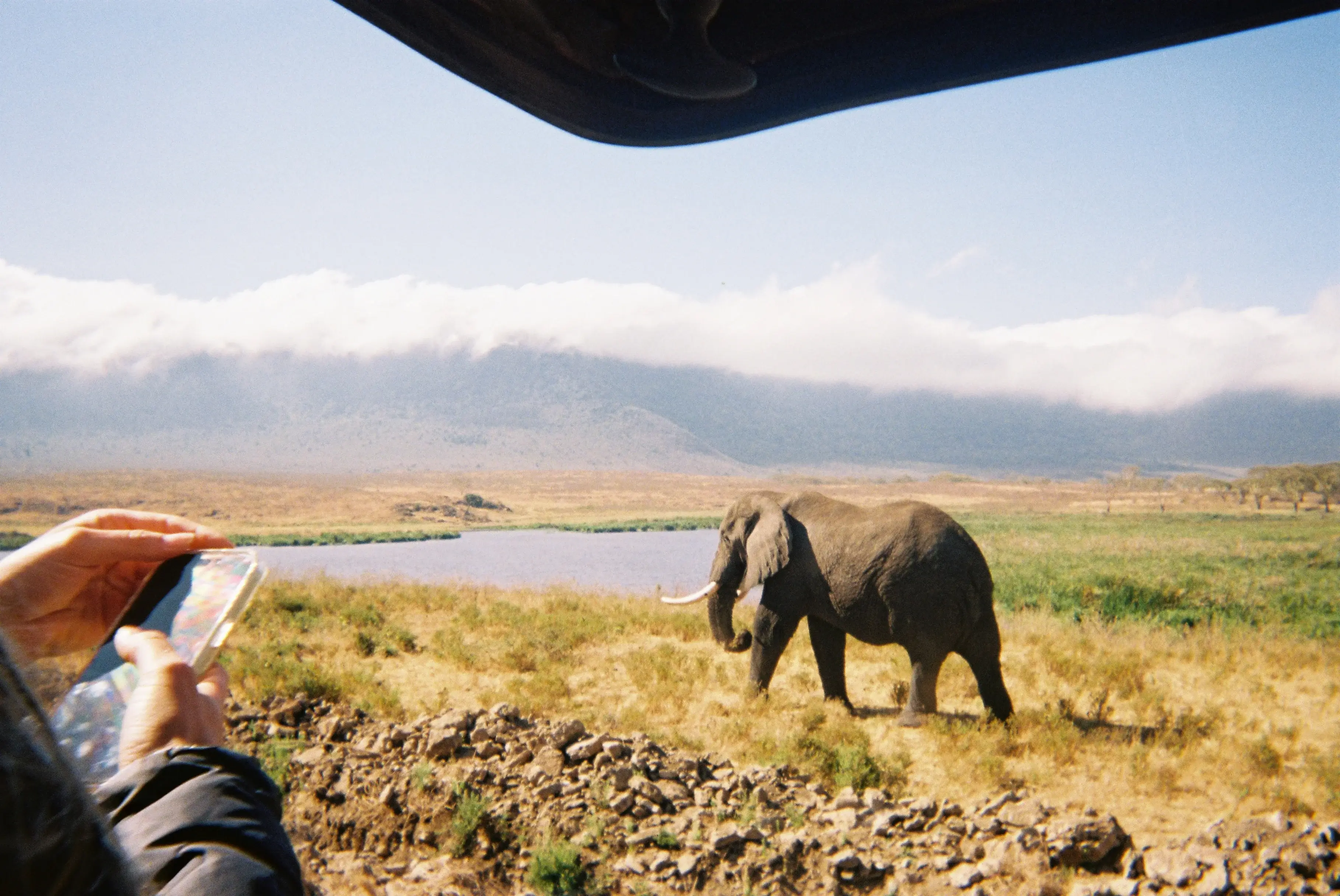 An adult elephant and a calf standing near grass beside a dirt road with safari vehicles parked nearby under a partly cloudy sky.