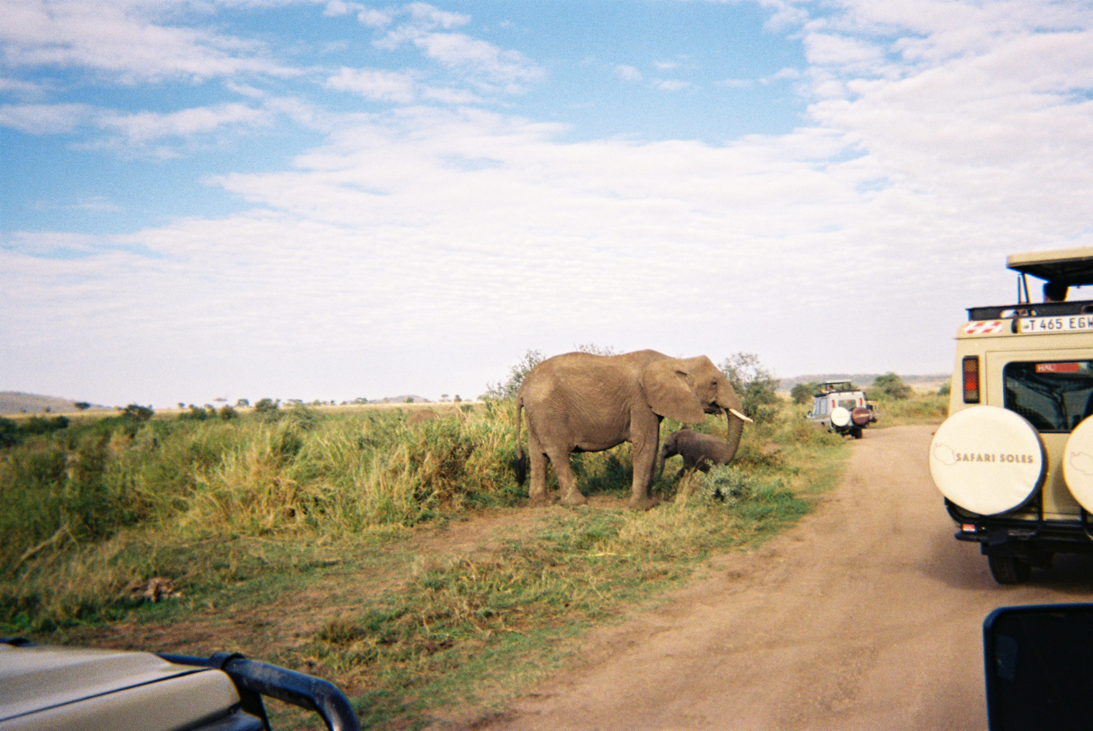 An adult elephant and a calf standing near grass beside a dirt road with safari vehicles parked nearby under a partly cloudy sky.