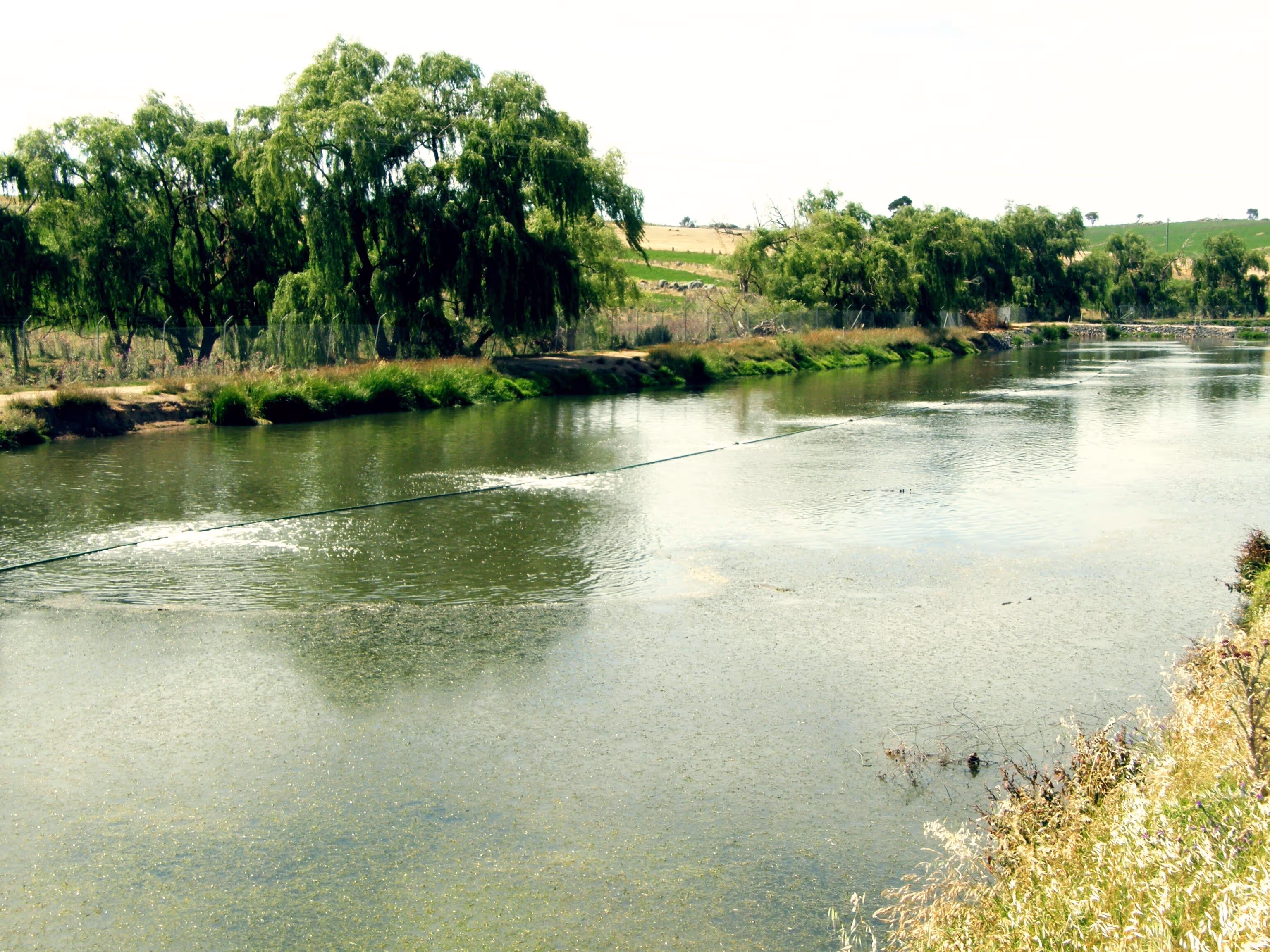 Diffused aeration system improving water quality and controlling algae in a lagoon or water retention system.