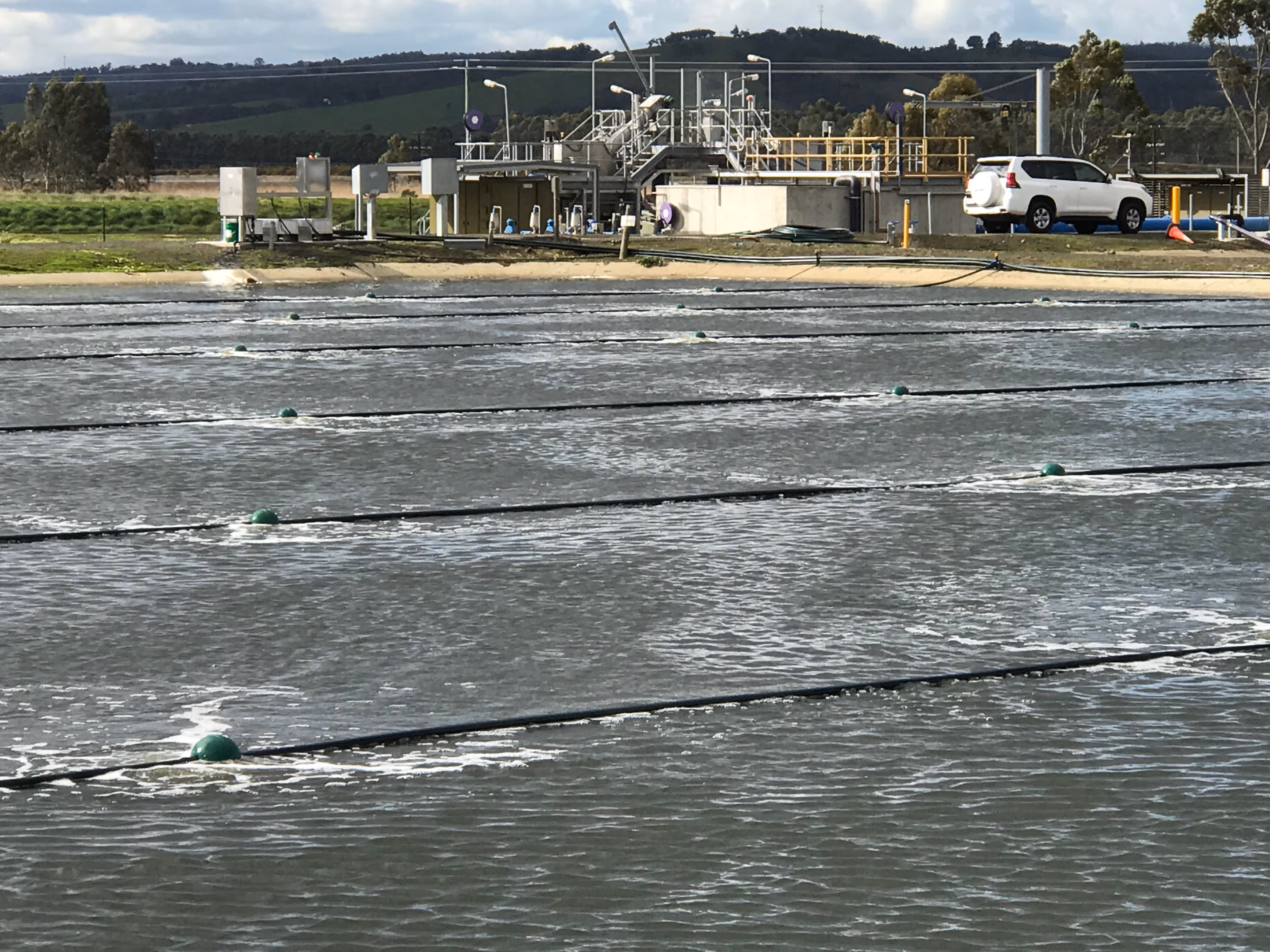 Diffused aeration system operating in a sludge holding lagoon to support aerobic digestion and reduce odours.