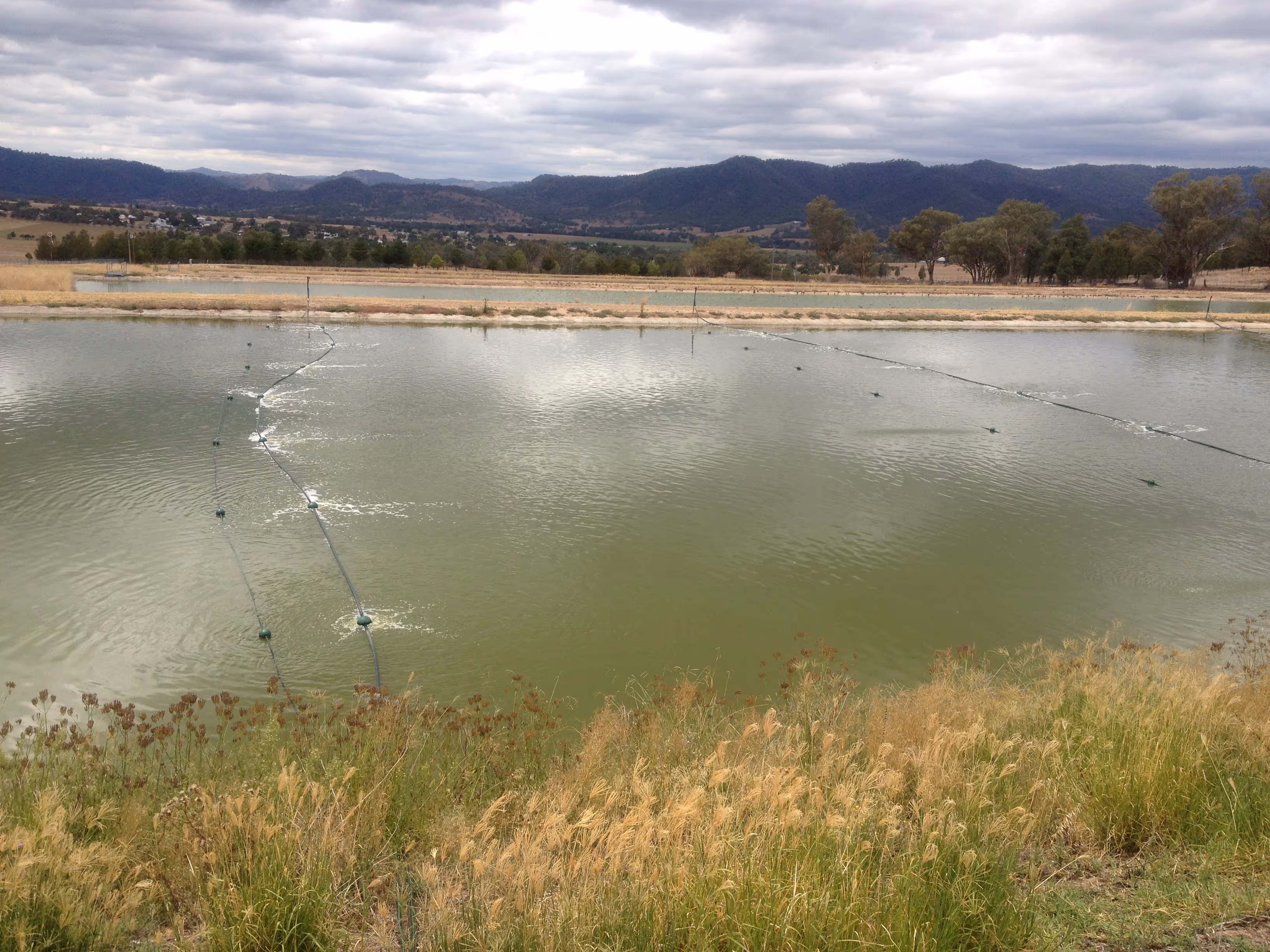 Floating diffused aeration system operating in a sewage oxidation lagoon to improve dissolved oxygen levels and support biological sludge reduction.