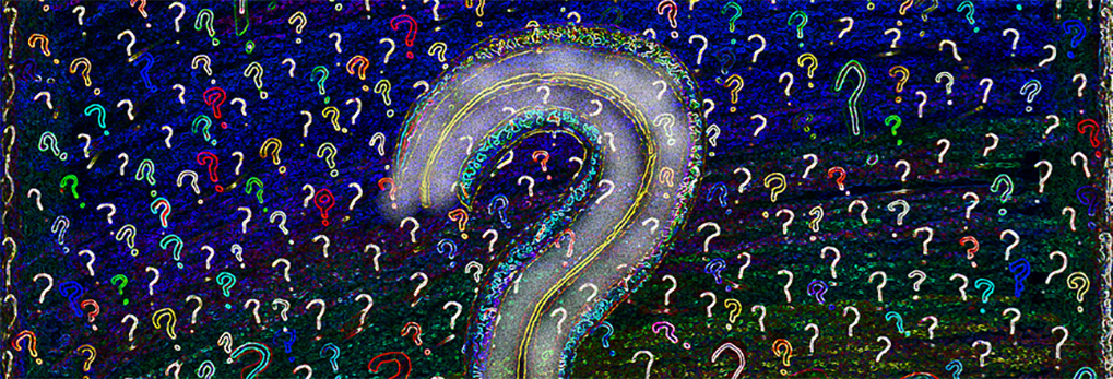 5 Questions That Can Bless Others