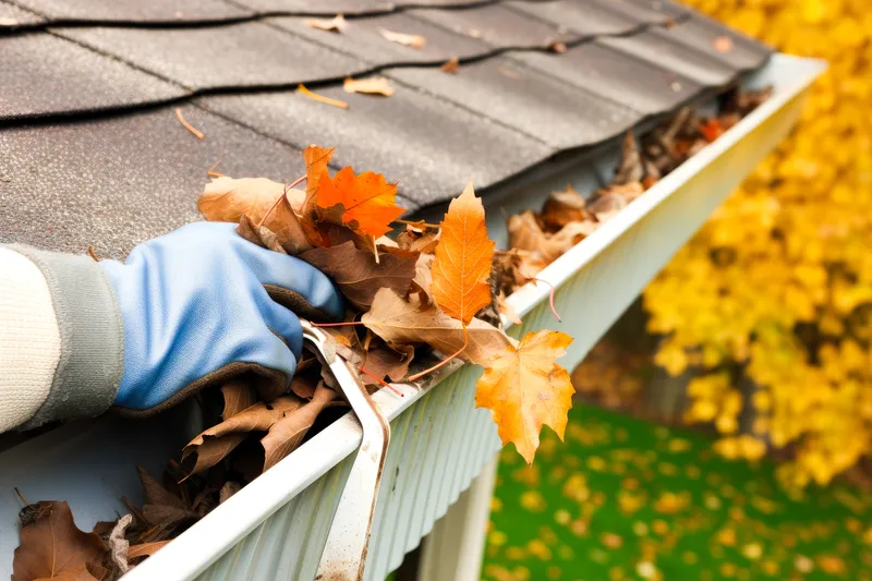 Gutter Services