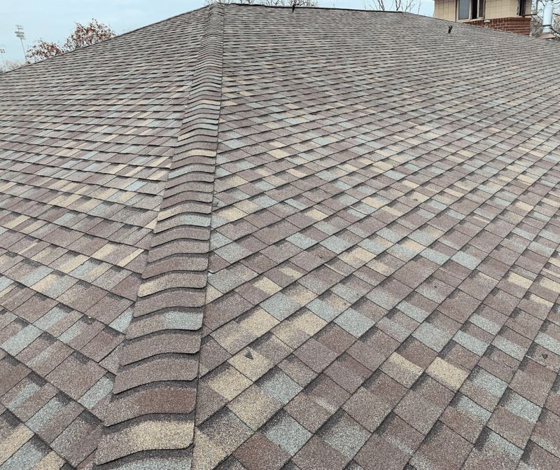 Shingle Roof