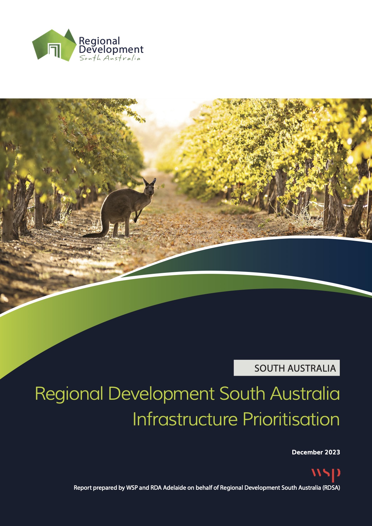 RDSA Infrastructure Prioritisation Report 2023 cover