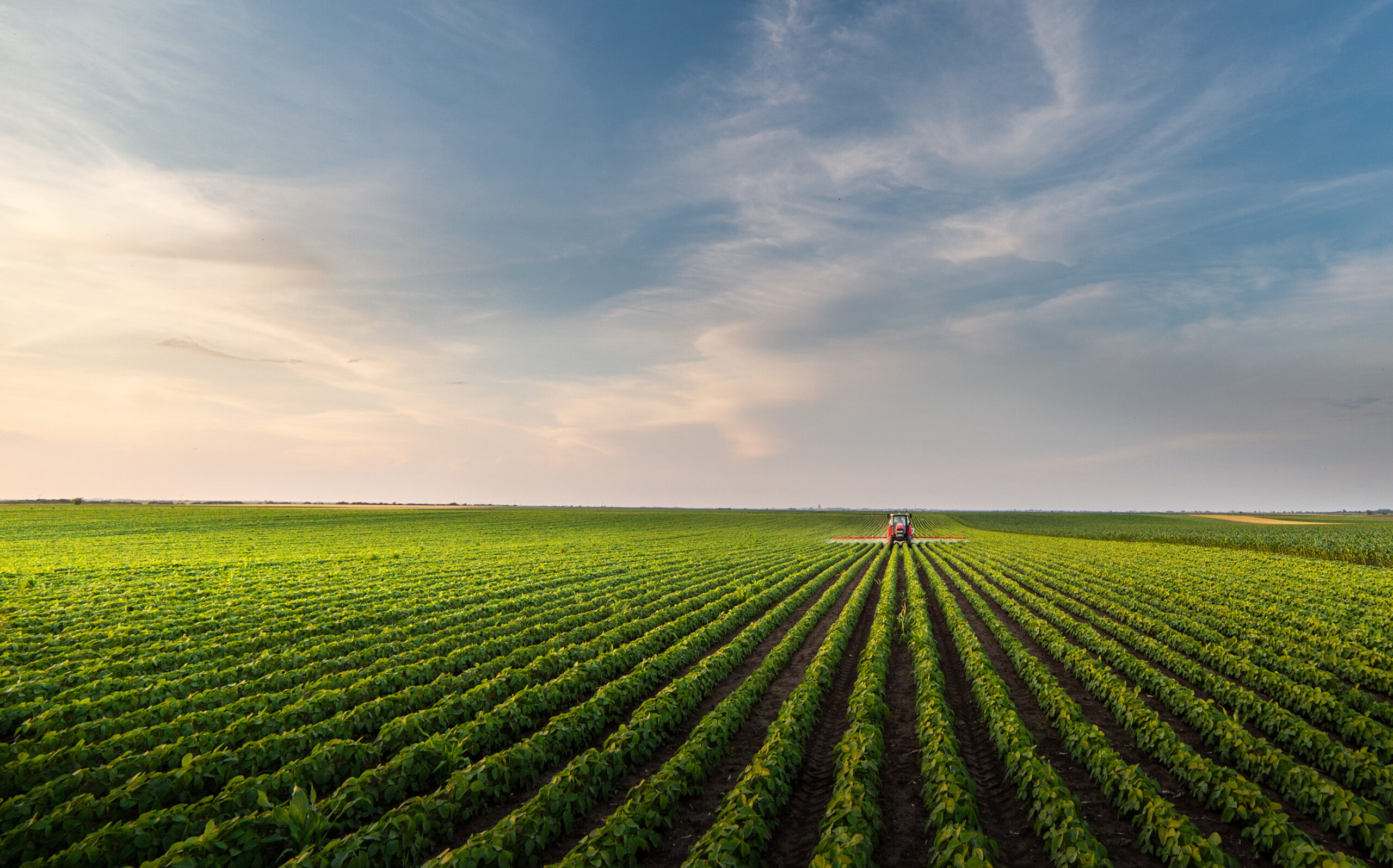 Tractor on a field