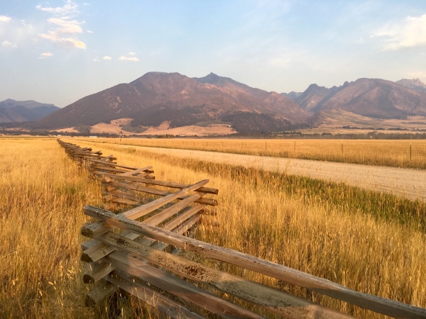 Montana Plains and Roadway