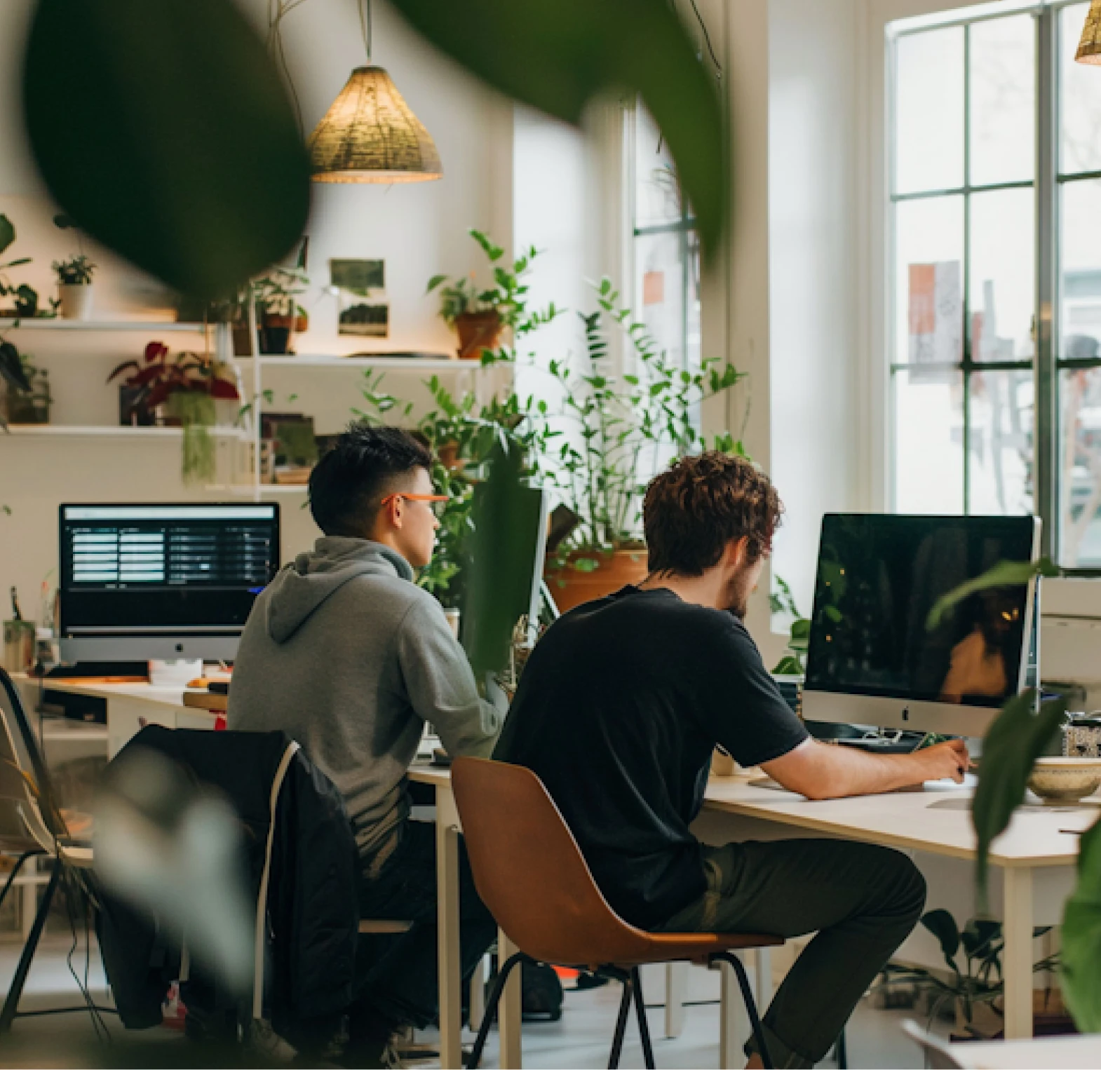 averint home three customer experience