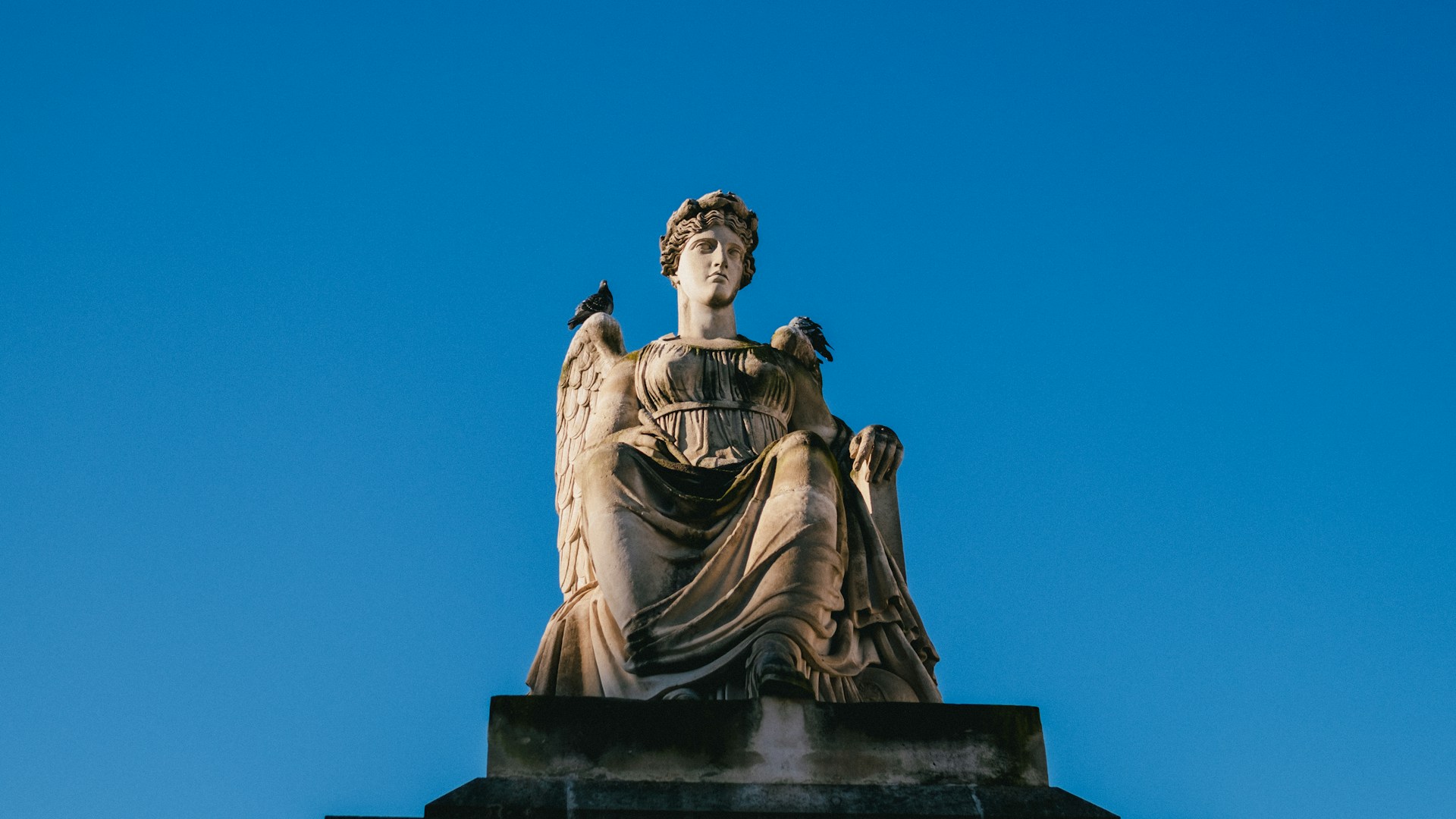 Wind turbine blades against a landscape.