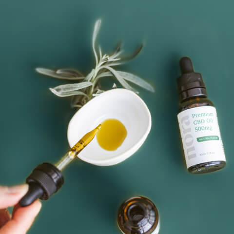 Instagram - Healthful X Webflow Template