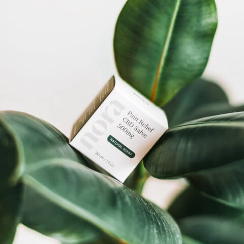 Instagram - Healthful X Webflow Template