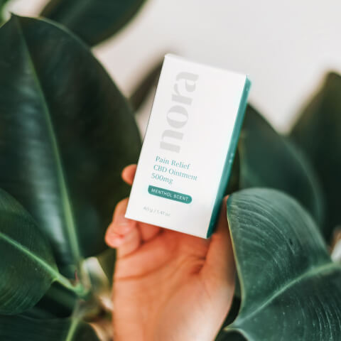 Instagram - Healthful X Webflow Template