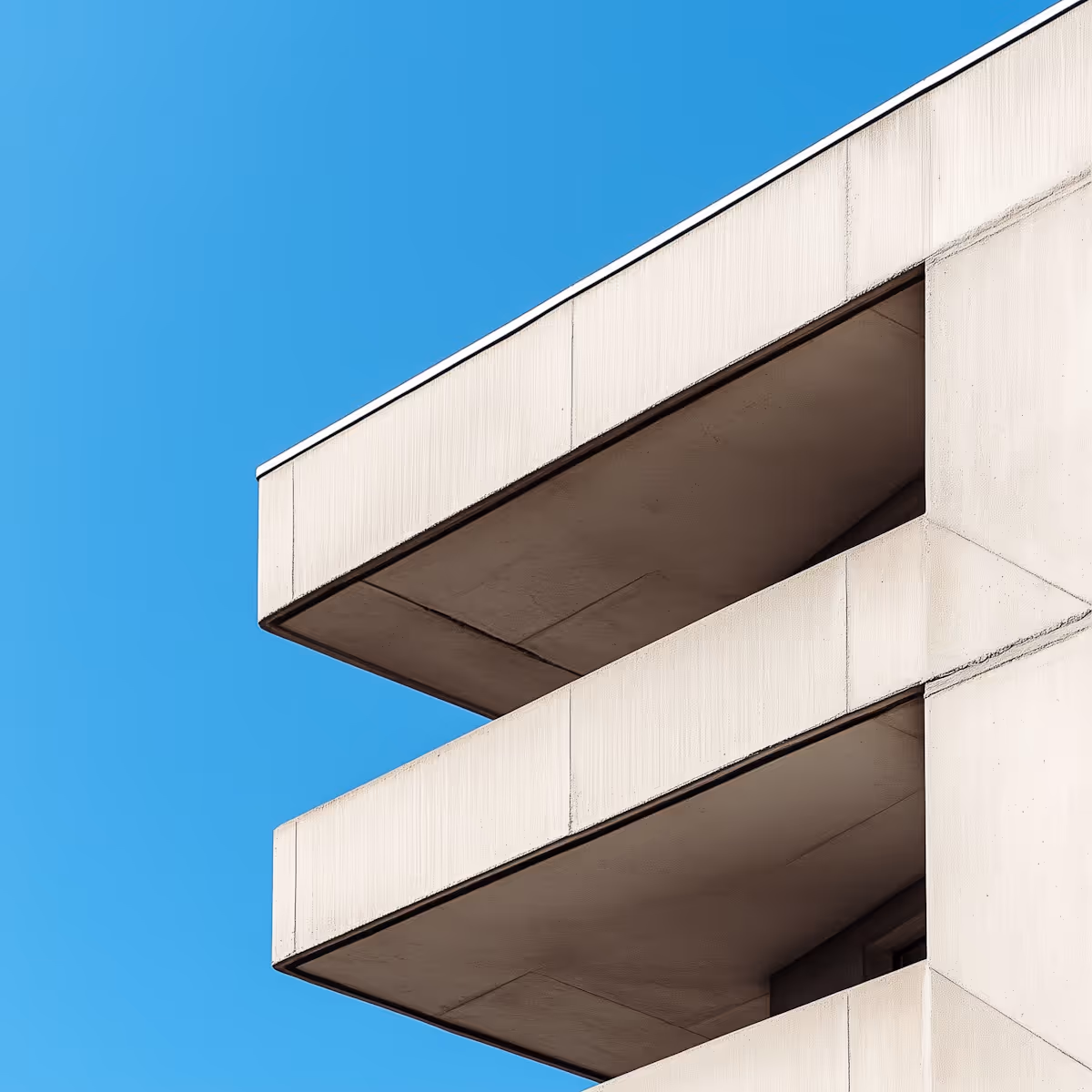 A brown dog holding a stick on a woodland path.