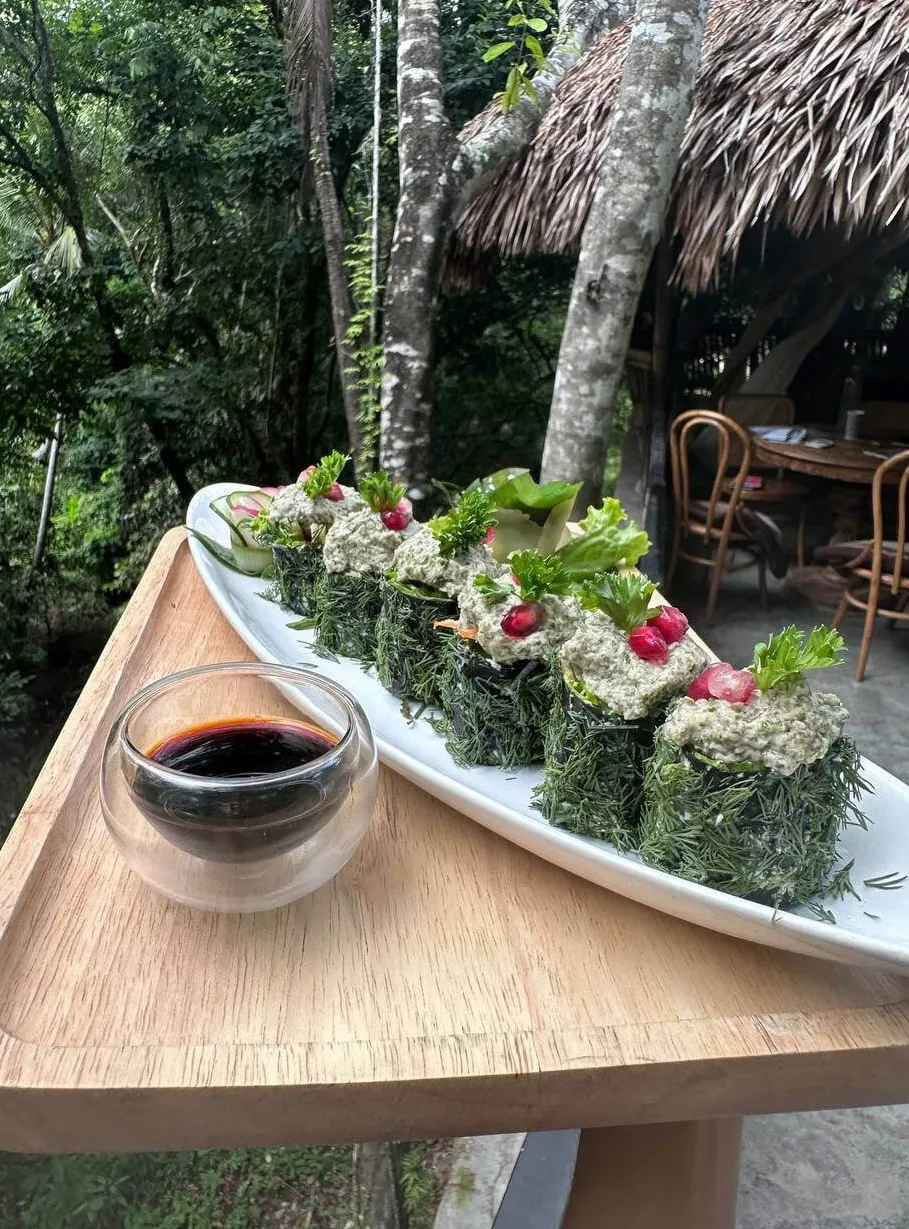Raw vegan detox rolls wrapped in fresh herbs on white platter with sauce