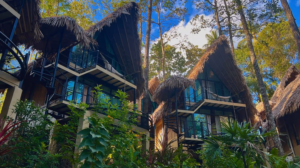 Treehouse-style bungalows with thatched roofs nestled in tropical jungle
