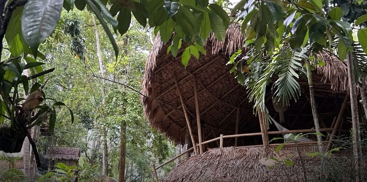 Thatched jungle bungalow on Koh Phangan