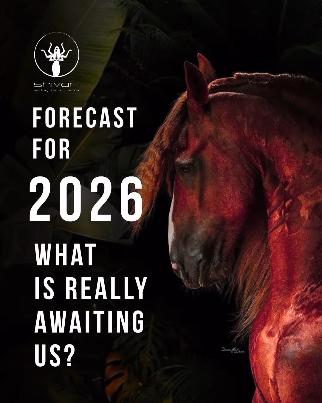 Horse portrait with 2026 forecast text at Shivari healing center