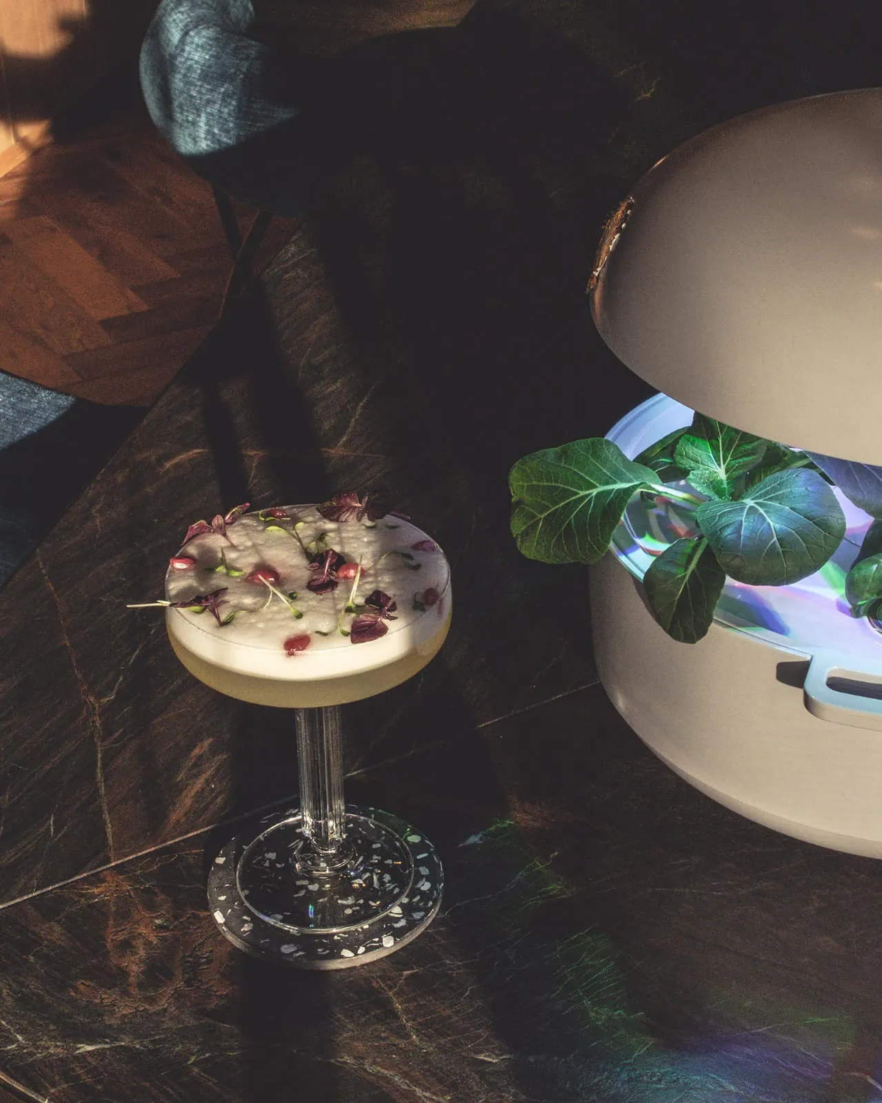 Cocktail en coupe aux fleurs séchées posé sur un plateau de marbre