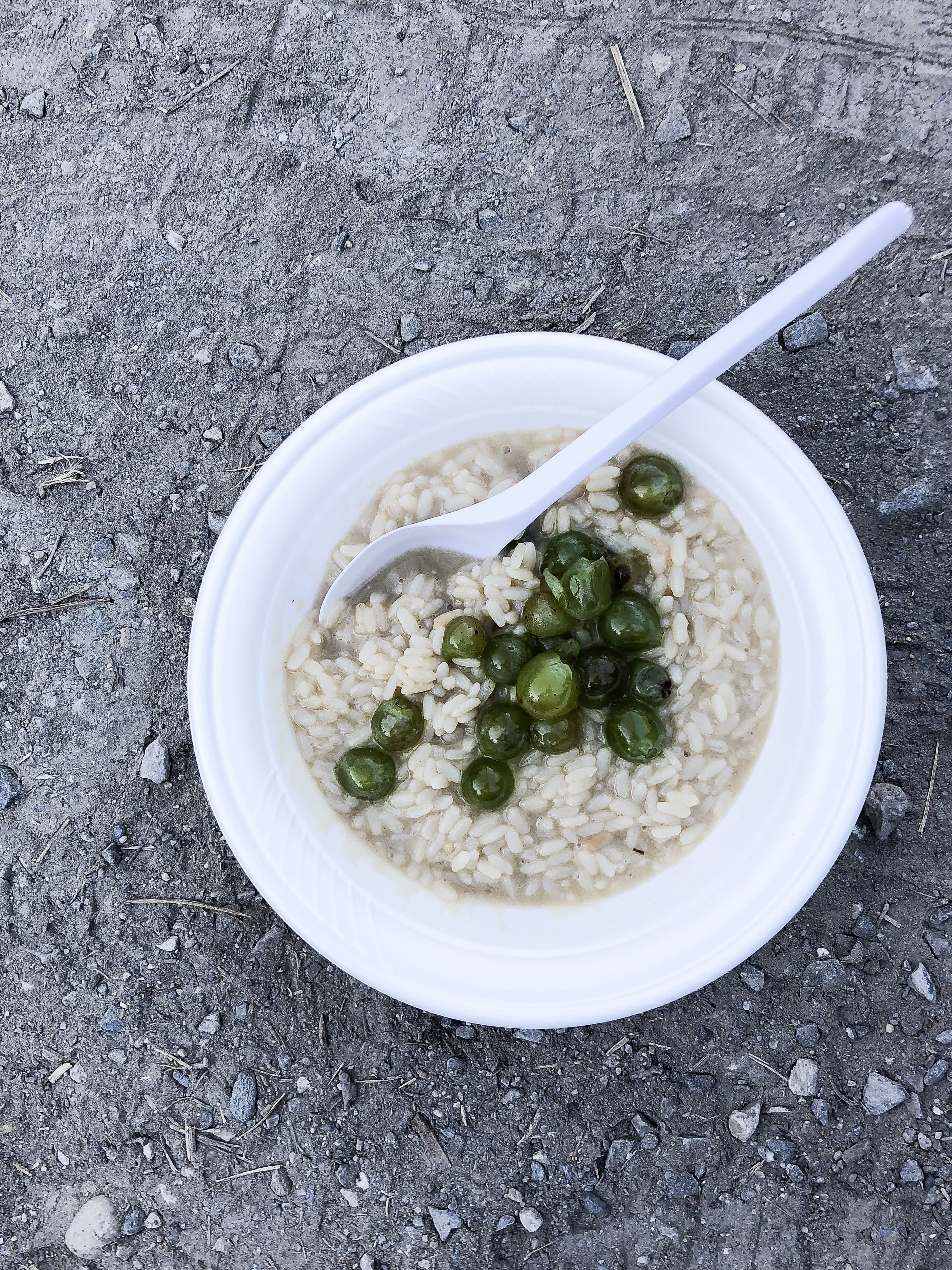 Weisser Einweg-Teller mit Reis in Sauce und grünen Erbsen, darauf ein weisser Plastiklöffel, auf steinigem Boden.