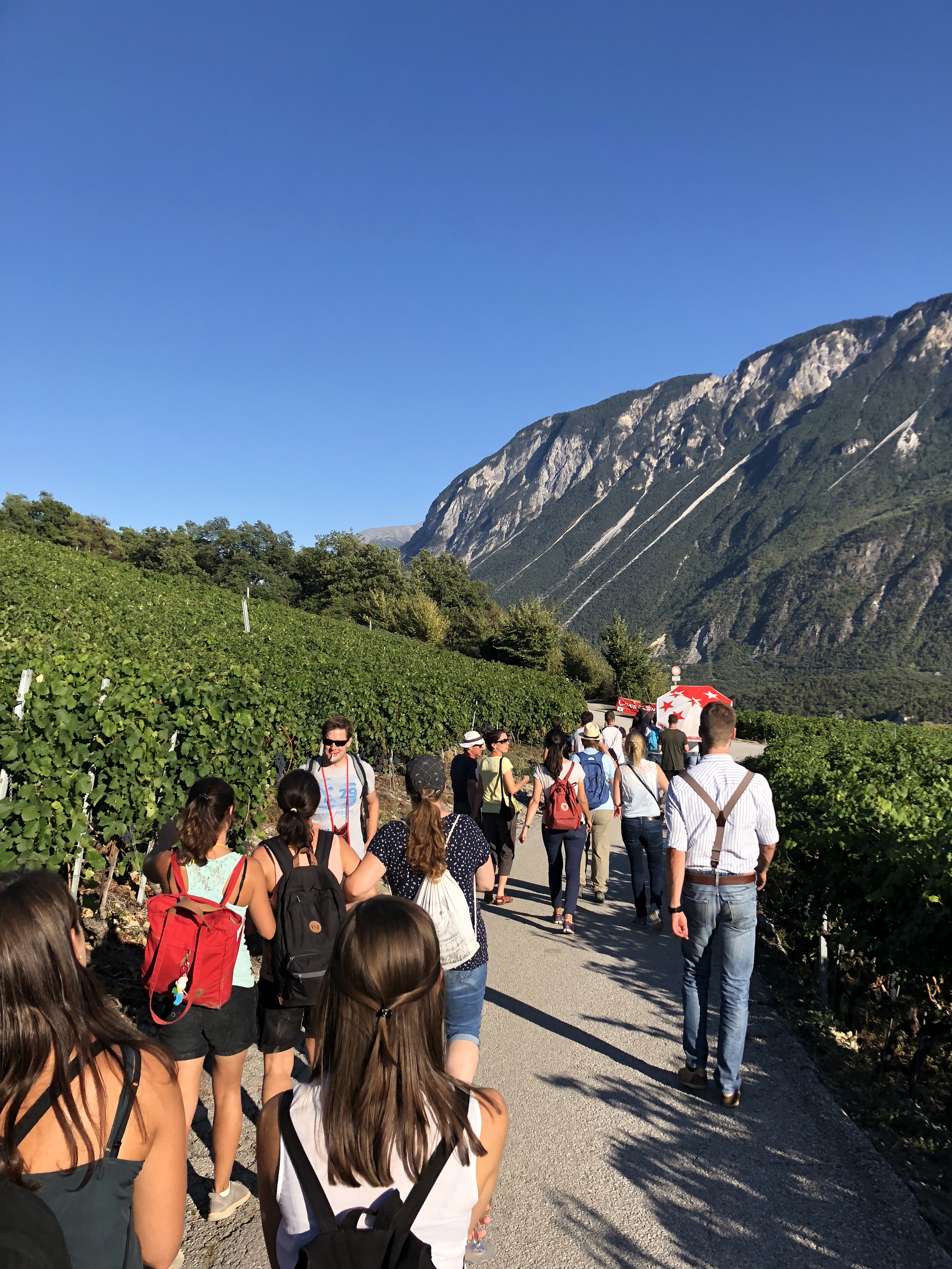 Gruppe von Menschen wandert auf einem Weg durch Weinreben mit Bergen und klarem blauem Himmel im Hintergrund.