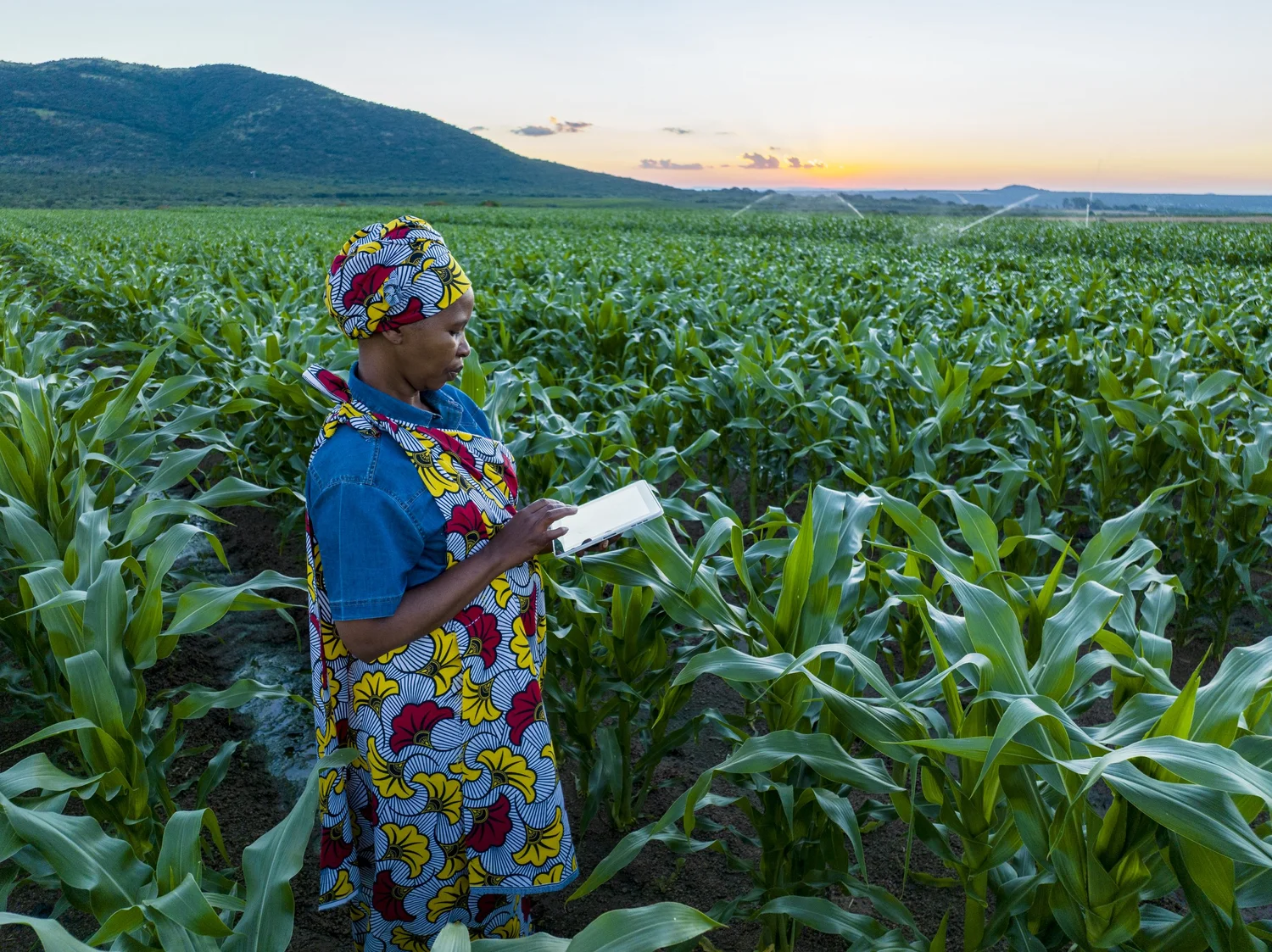 Rethinking Premium Support: Enhancing The Impact And Sustainability Of Climate Risk Insurance