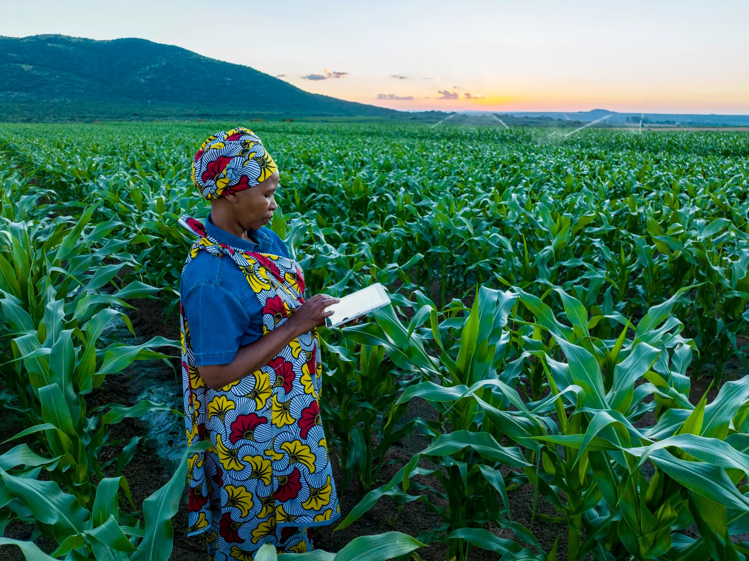 Rethinking premium support for climate protection