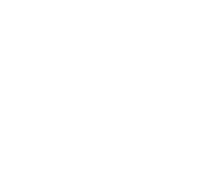 tom ford logo