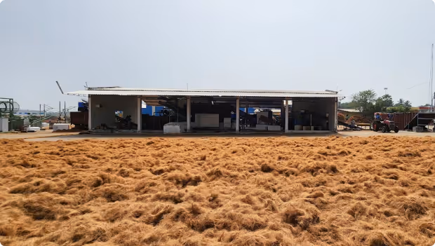 Wide view of a farm building with a large expanse of golden straw or hay spread out in front, under a clear sky.