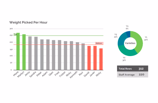 Bar chart showing weight picked per hour by employees with top performers in green, bottom performers in red, and a donut chart displaying variety percentages V1 40%, V2 32%, V3 22%, V4 6%, alongside total rows 312 and staff average 220.