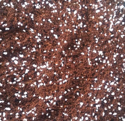 Close-up of brown coir soil mix with white perlite particles scattered throughout.