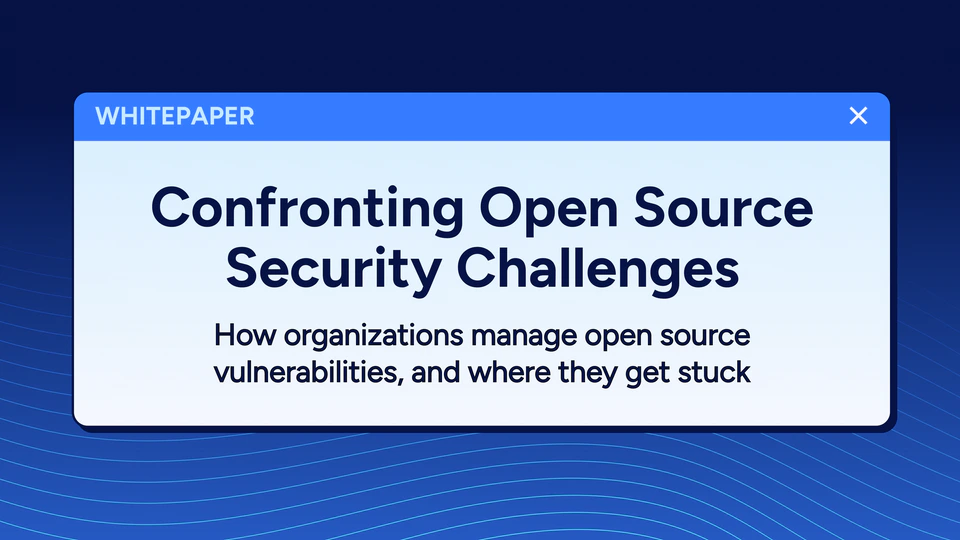 Whitepaper: Confronting open source security challenges