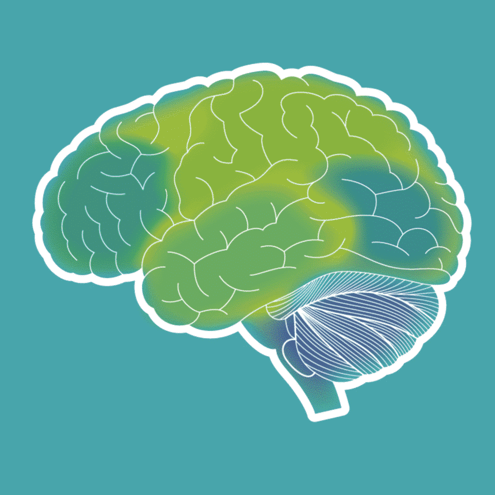 Fashion Retail Intelligence | Learning From Human Brain