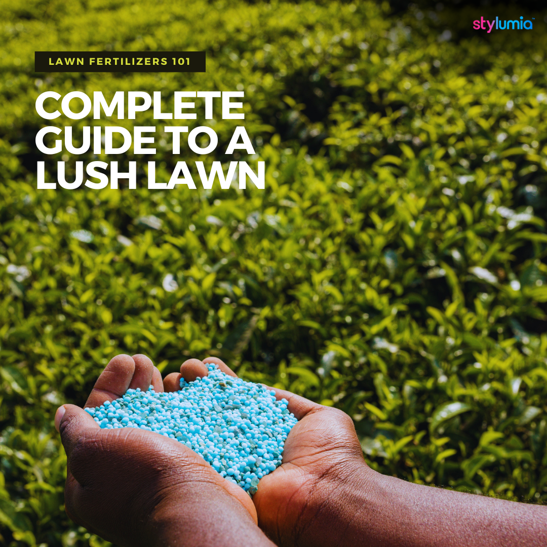 Lawn Fertilizers 101: Complete Guide to a Lush Lawn