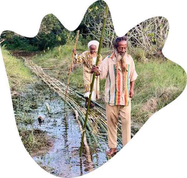 Actions Philanthropiques Grand Beau : Cevaste