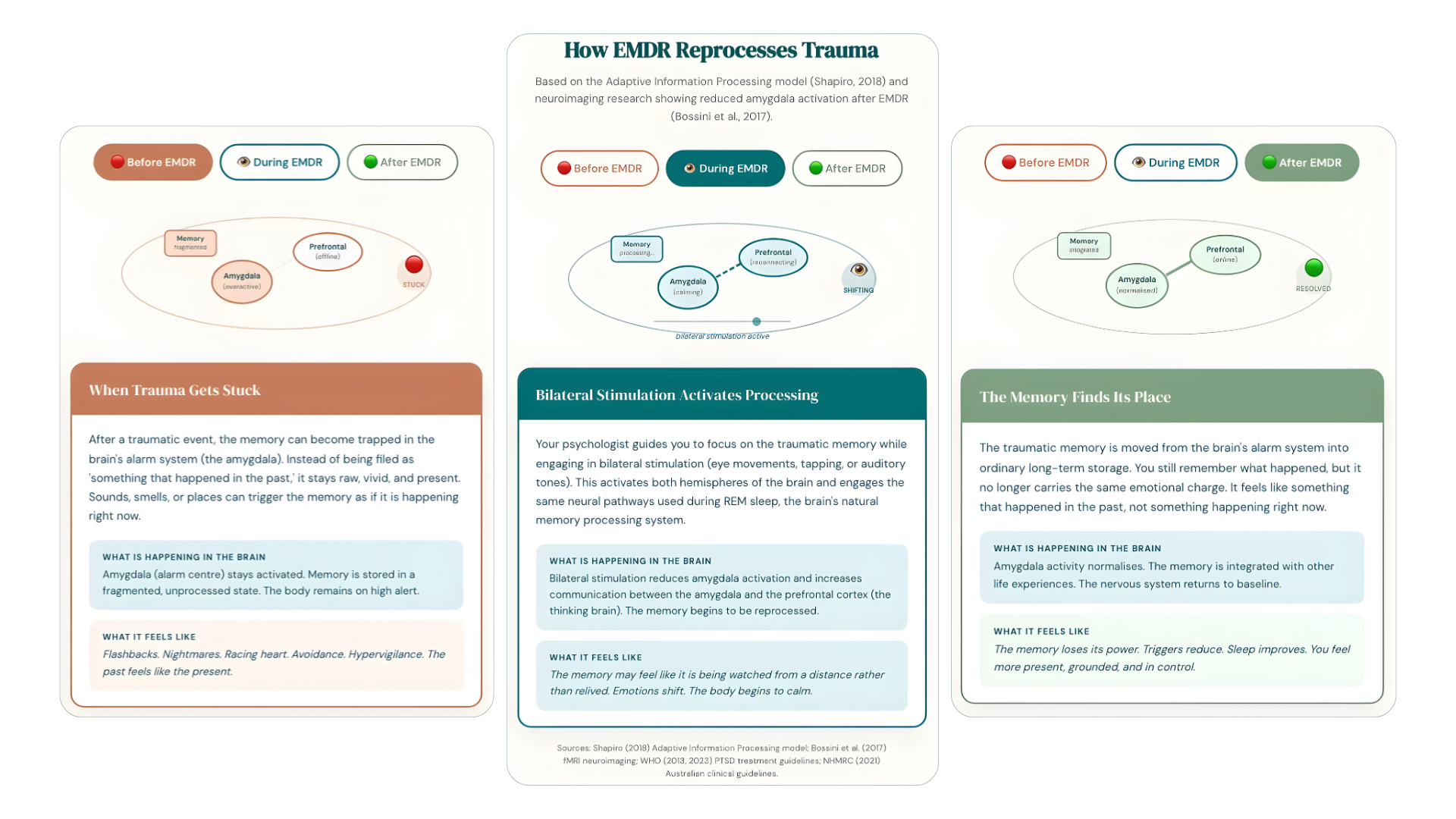 EMDR Therapy Trauma Hobart  
