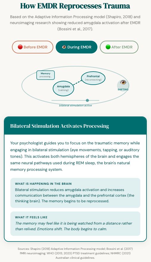 EMDR therapy available face-to-face in Battery Point, Hobart and via telehealth across Australia at Chrysalis Psychology and Wellbeing