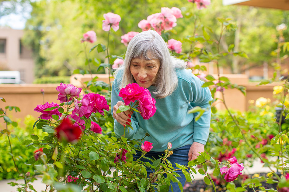 image of balcony view at a bed & breakfast