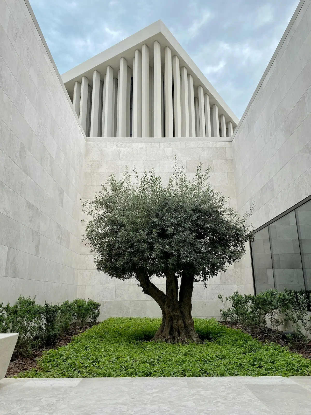 Tree in a modern stone courtyard symbolizing comfort, stability, and long-term investment value in Abu Dhabi