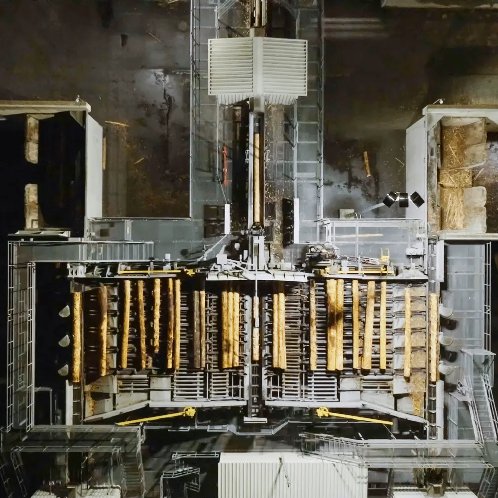 Zu sehen ist eine LINCK Maschine von oben. Dabei handelt es sich um die OMS. Mehrere Stämme werden auf die Linie geführt. 