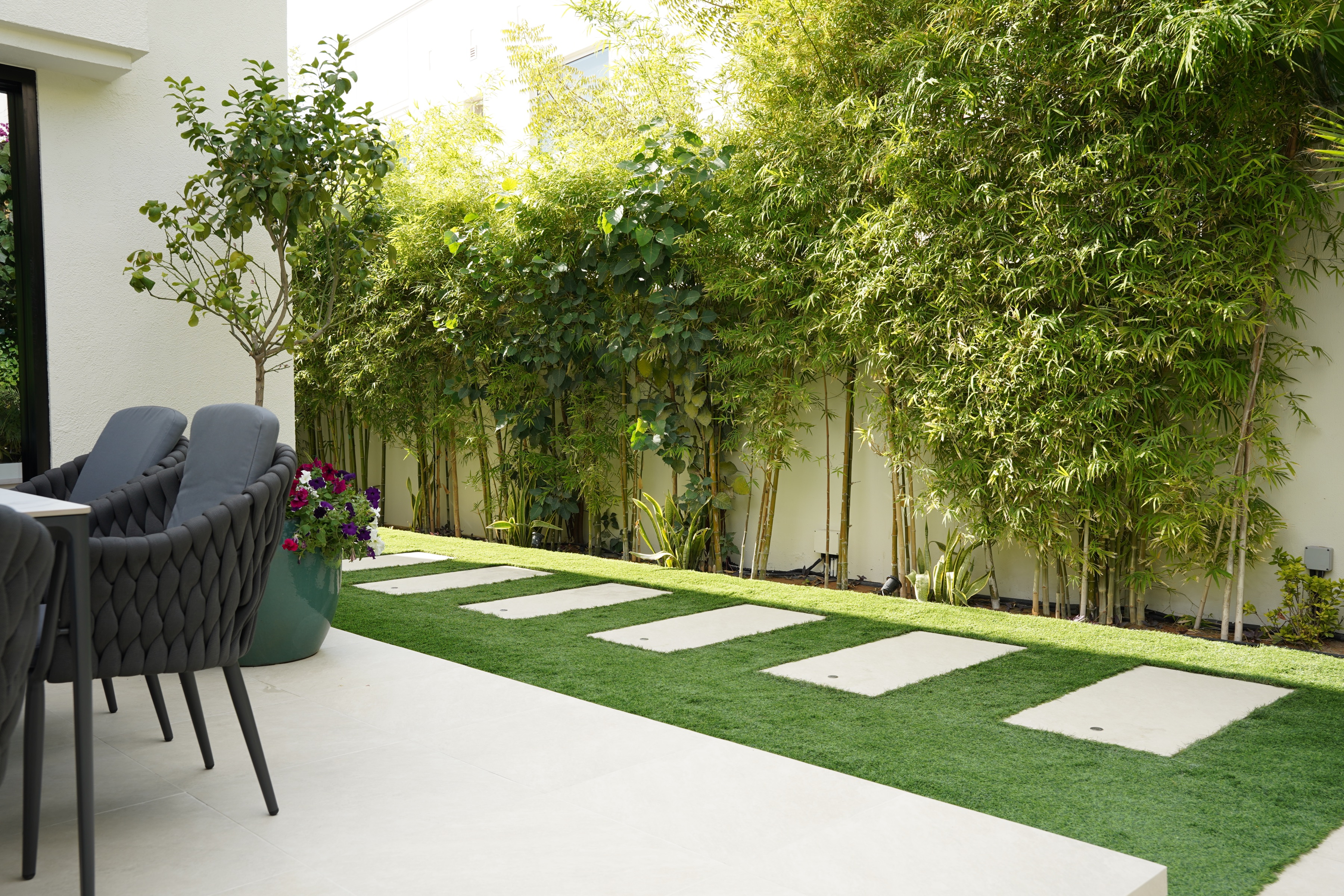 Outdoor patio with black woven chairs, a potted plant with flowers, stepping stones on green grass, and a row of tall bamboo plants along a white wall.