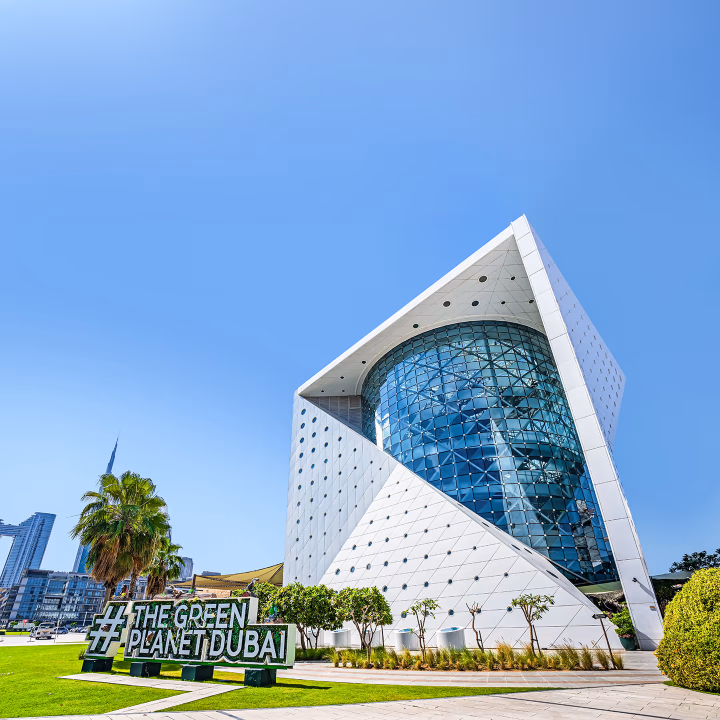 The Green Planet launches as the region’s only indoor rainforest