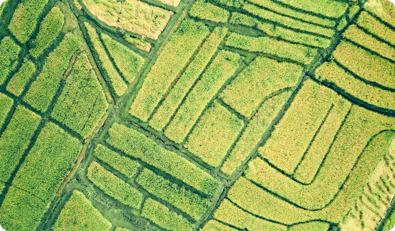 AirCo - AirDokan - Webflow Template Image