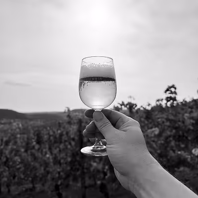 Hand holding a wine glass filled with wine against a vineyard background.