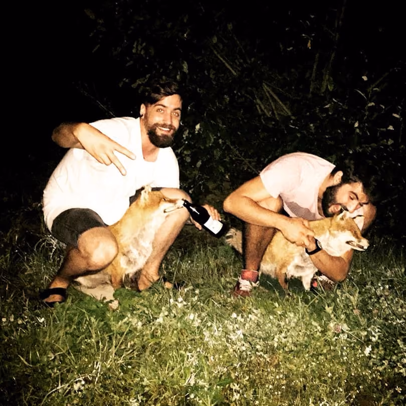 Two men crouching outdoors at night, each holding a fox; one man holds a bottle near a fox's mouth.