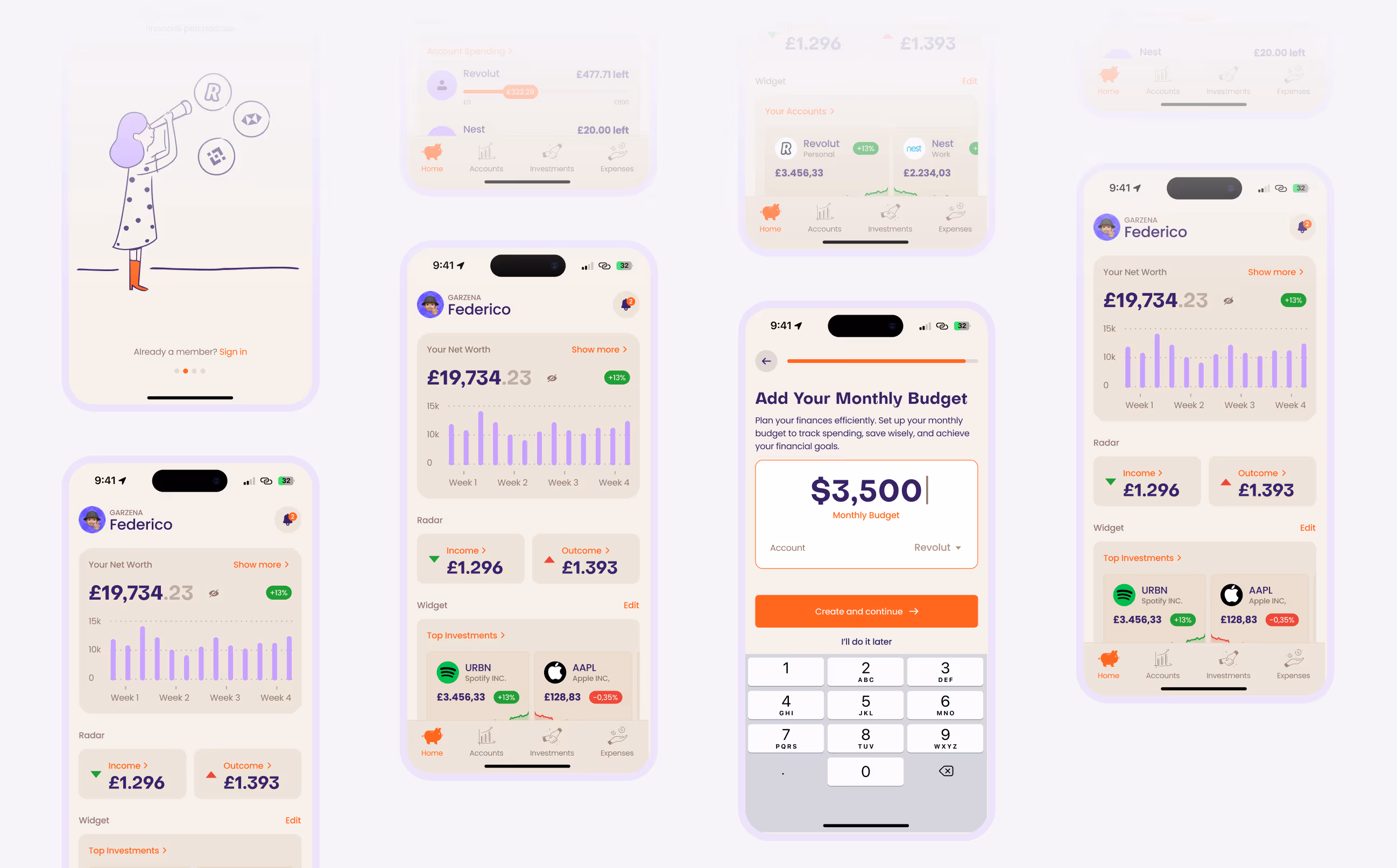 Mobile app screens showing a user profile with net worth, income and outcome stats, investment details, and a monthly budget input interface.