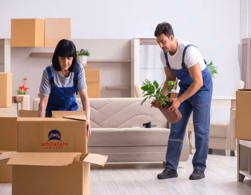 Female and male professional movers packing boxes in a home or office setting, with a clear Mountain Movers logo visible on a box. Keywords: Mountain Movers Austin TX, residential moving, packing services.