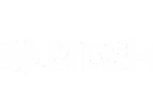 Mesh logo