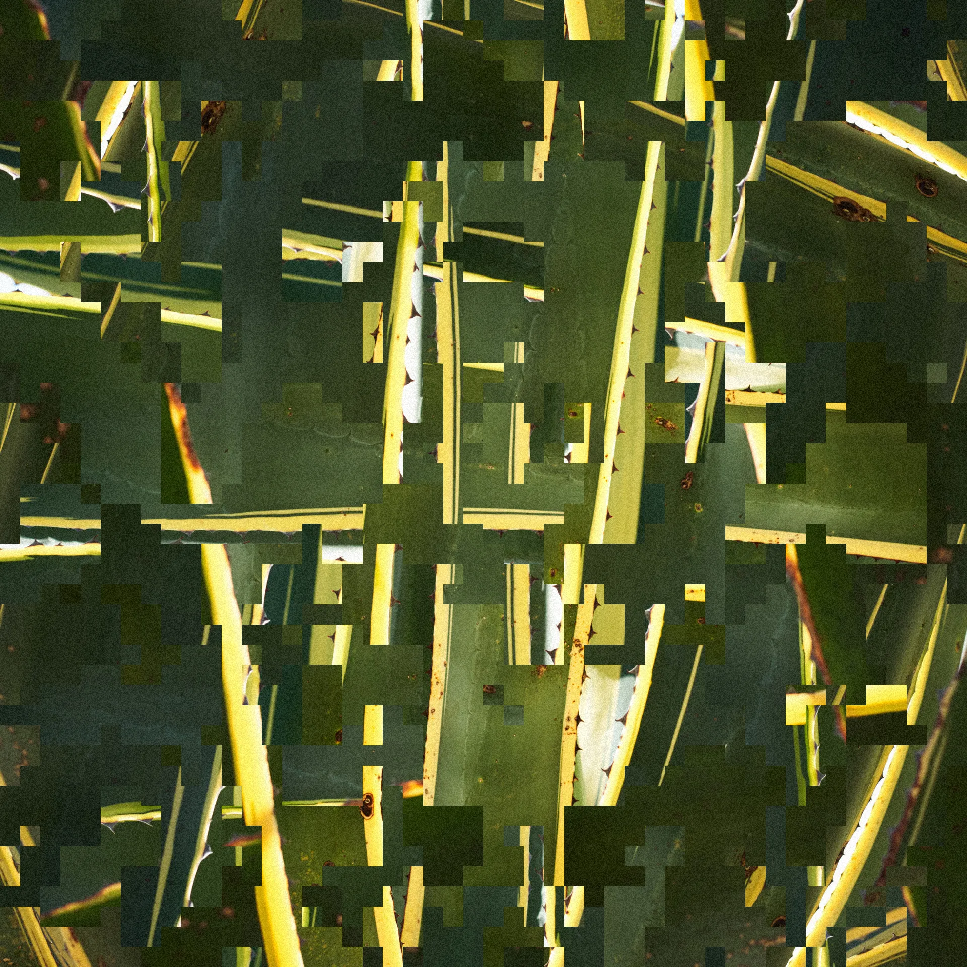 Oligo - Reduce security friction